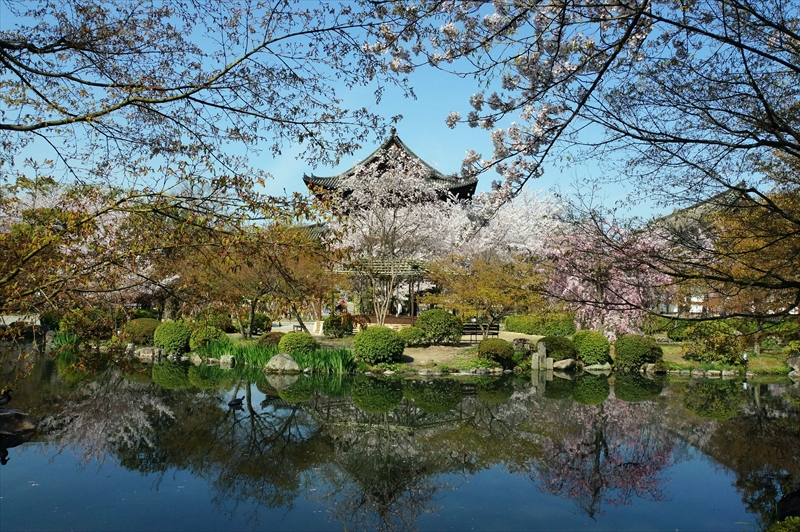 1172_洛中 東寺_京都