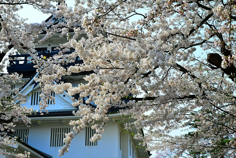 1015_横手城_秋田