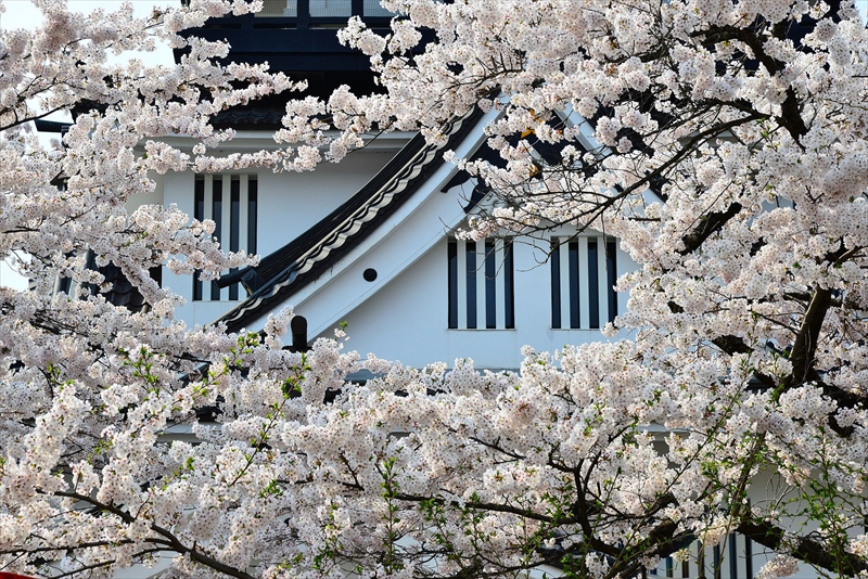 1016_横手城_秋田