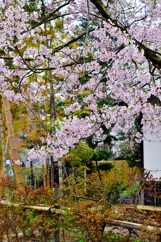1062_角館_秋田