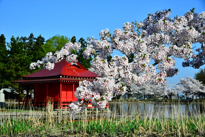 1002_猿賀公園_青森