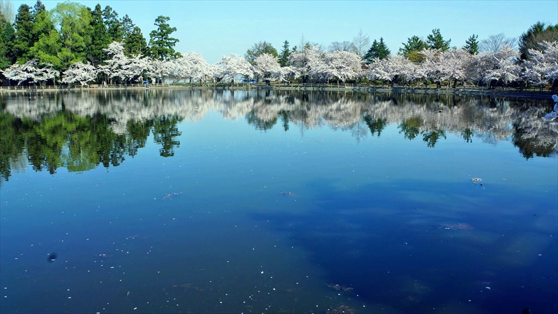 1004_猿賀公園_青森