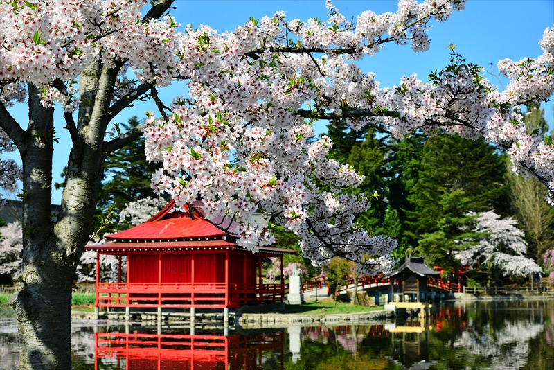 1029_猿賀公園_青森