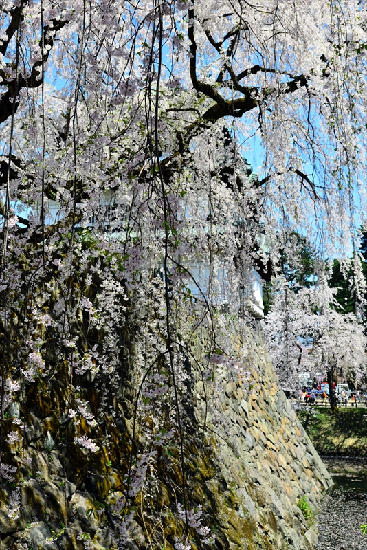 1170_弘前公園_青森