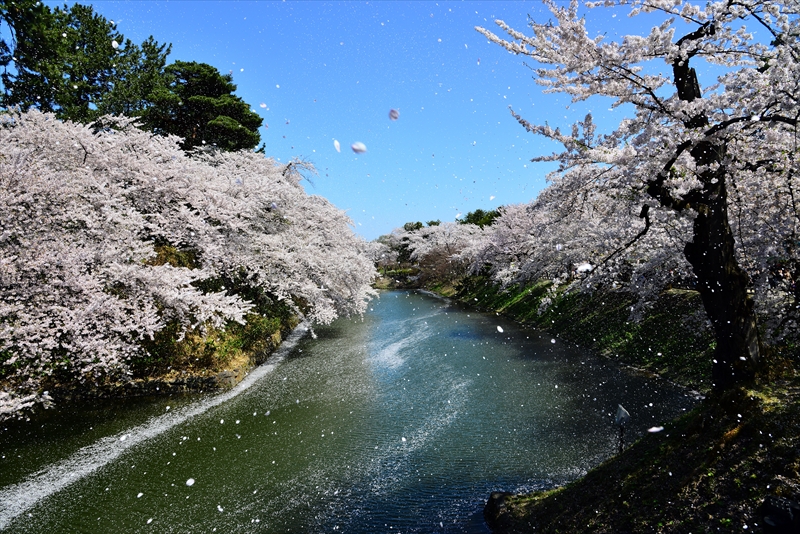 1182_弘前公園_青森