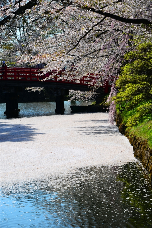 1085_弘前公園_青森
