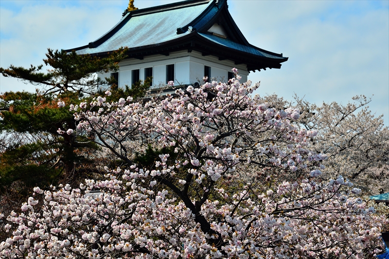 1004_松前城_北海道