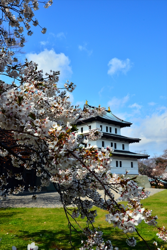 1005_松前城_北海道