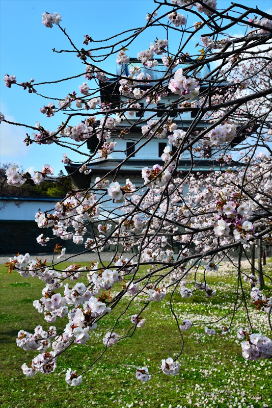 1008_松前城_北海道