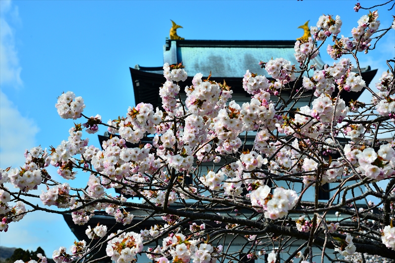 1009_松前城_北海道