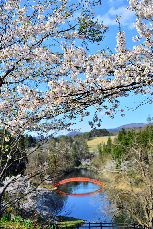 1005_横手公園牛沼_秋田