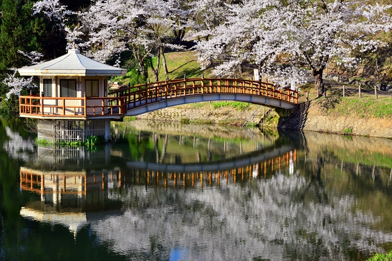 1007_横手公園牛沼_秋田