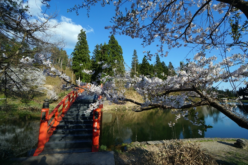 1008_横手公園牛沼_秋田