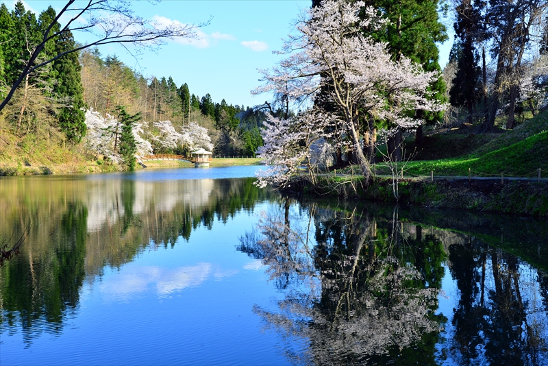 1009_横手公園牛沼_秋田