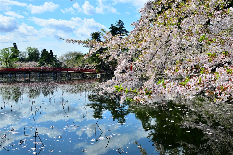 1053_猿賀公園_青森