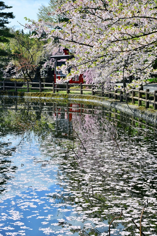 1054_猿賀公園_青森