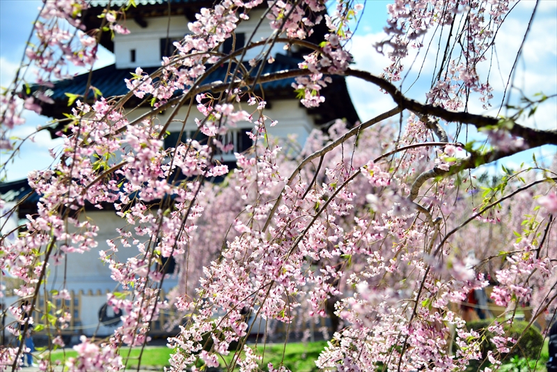 1250_弘前公園_青森