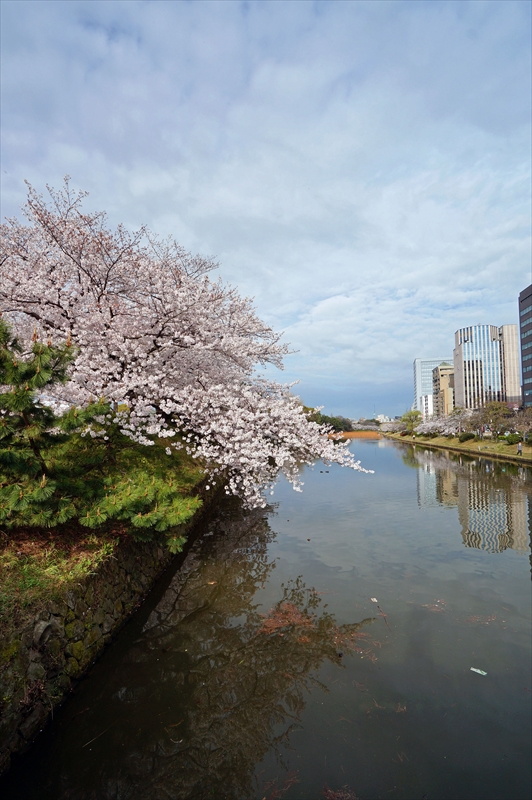 1043_福岡城跡_福岡