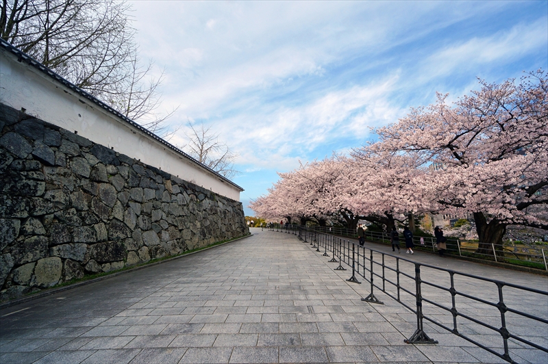 1047_福岡城跡_福岡