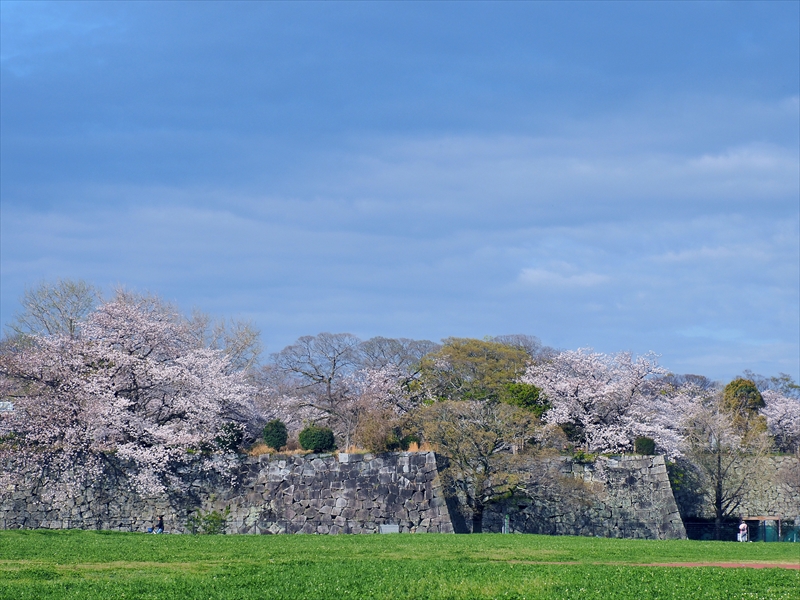 1049_福岡城跡_福岡