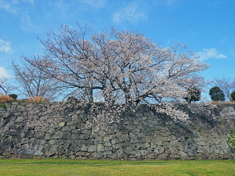 1051_福岡城跡_福岡
