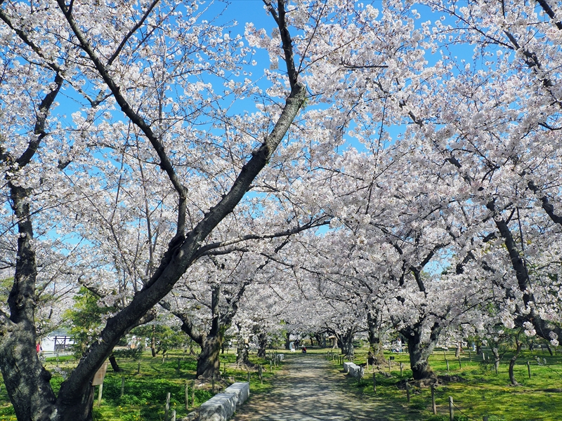 1058_福岡城跡_福岡