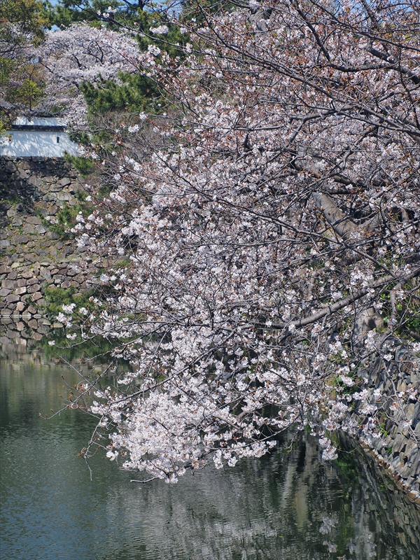 1018_小倉城_福岡