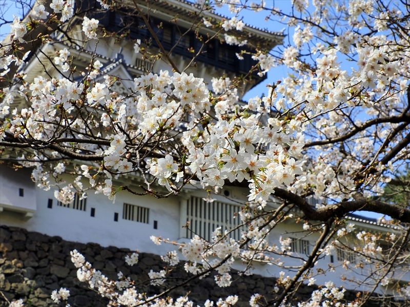 1023_小倉城_福岡