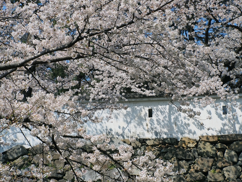 1027_小倉城_福岡