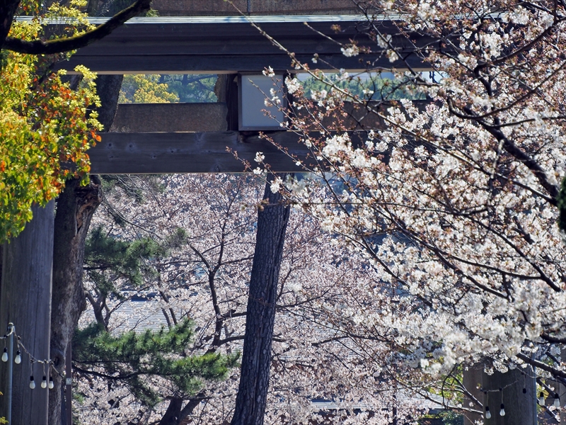 1028_小倉城_福岡