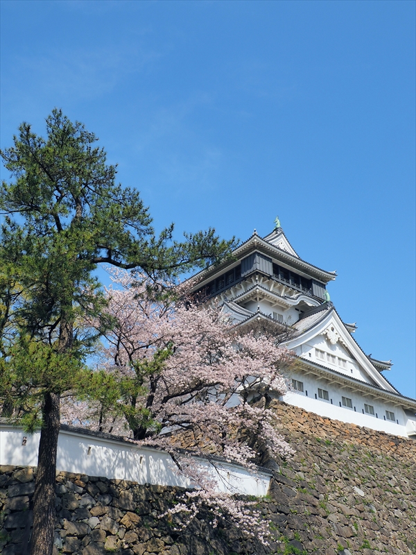 1031_小倉城_福岡