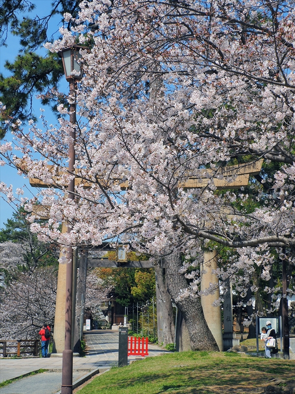 1035_小倉城_福岡