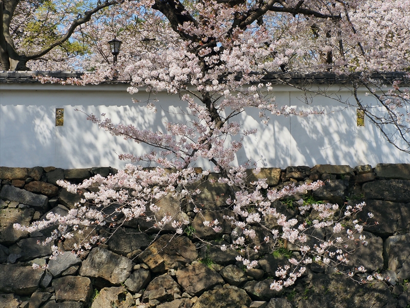 1038_小倉城_福岡