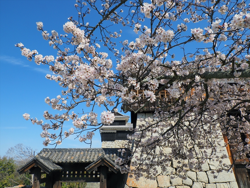 1061_松山城_愛媛