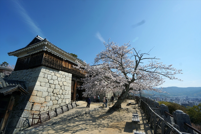 1067_松山城_愛媛