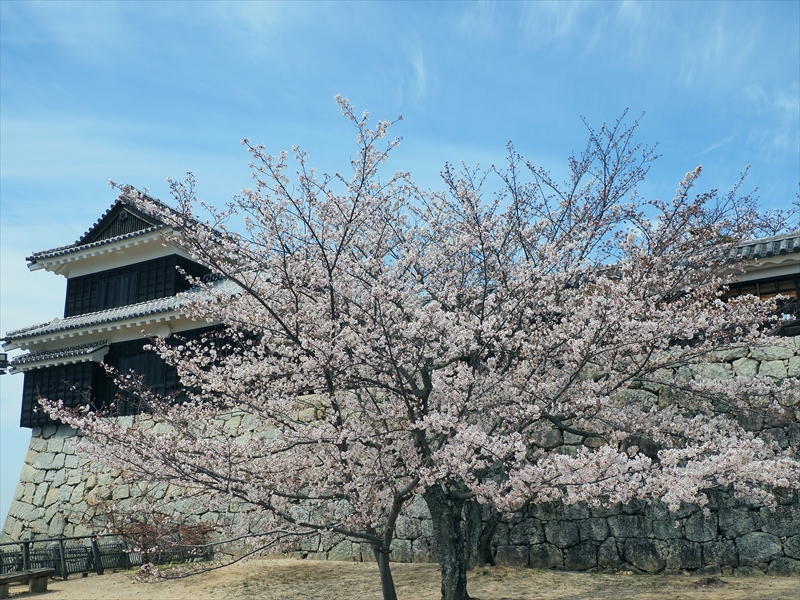 1102_松山城_愛媛