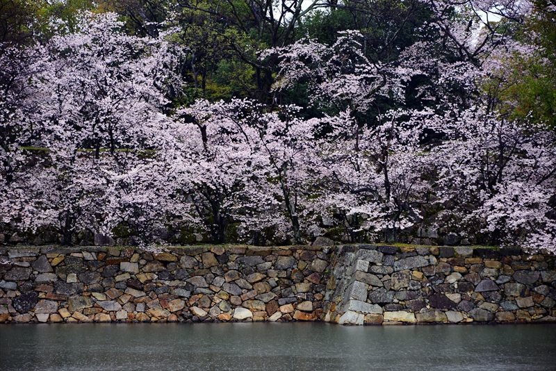 1002_広島城_広島