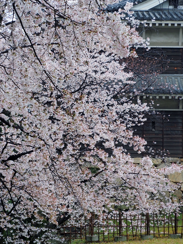 1004_広島城_広島