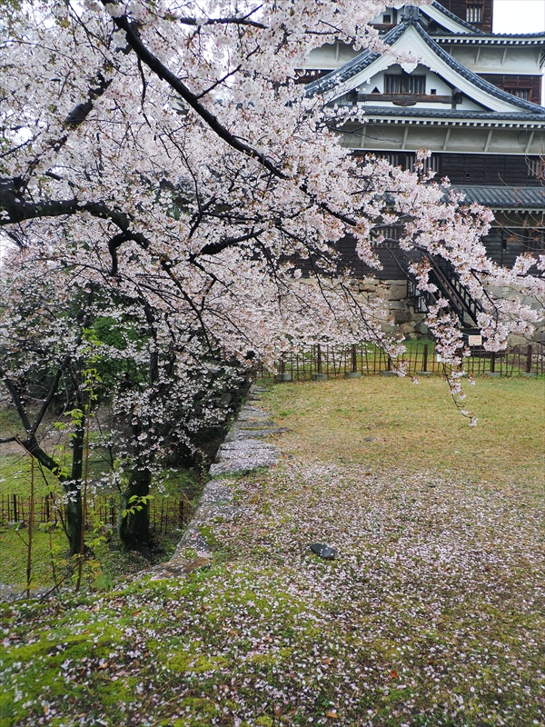 1005_広島城_広島