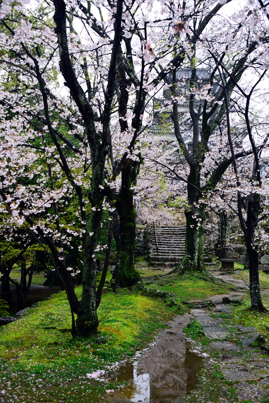 1006_広島城_広島