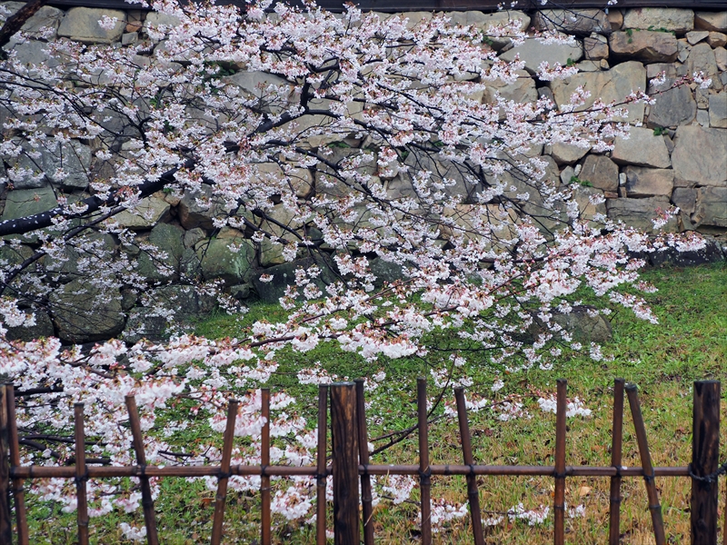 1008_広島城_広島