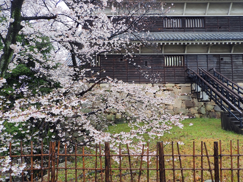 1012_広島城_広島