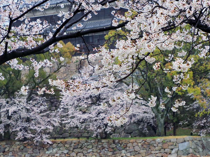 1028_広島城_広島
