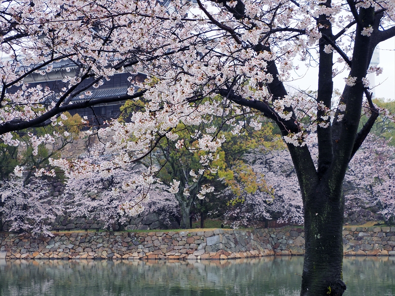 1029_広島城_広島