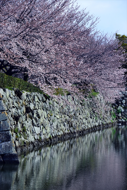 1001_姫路城_兵庫