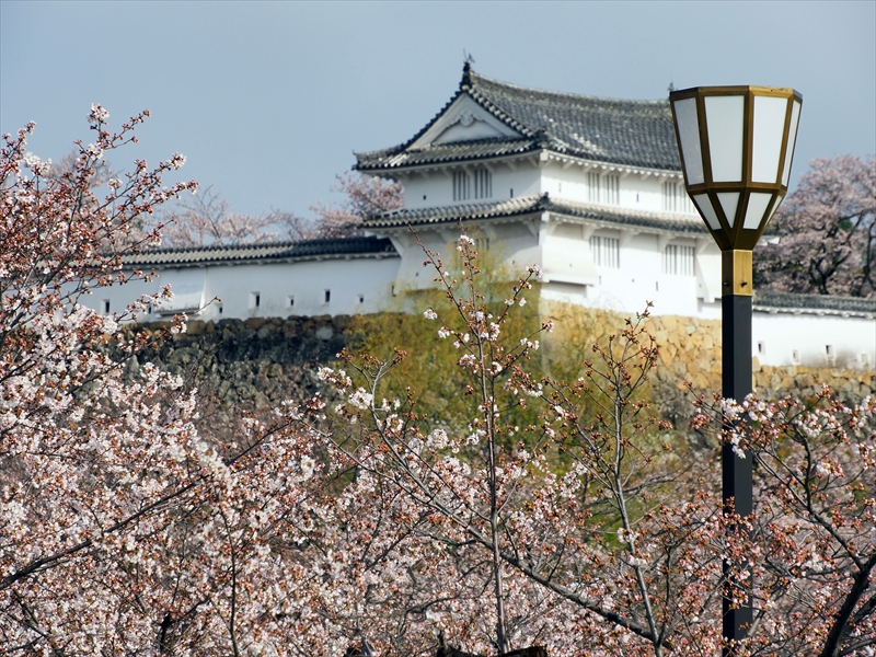 1002_姫路城_兵庫