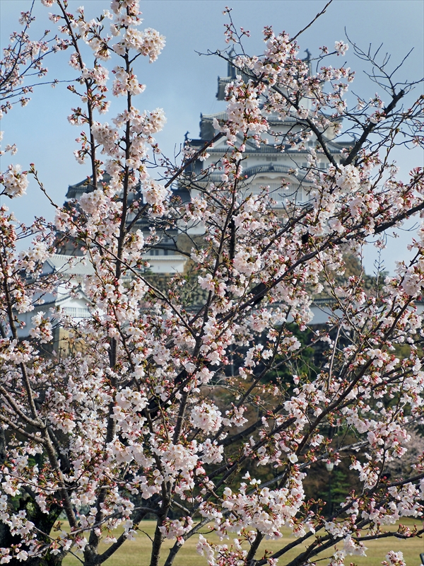 1004_姫路城_兵庫