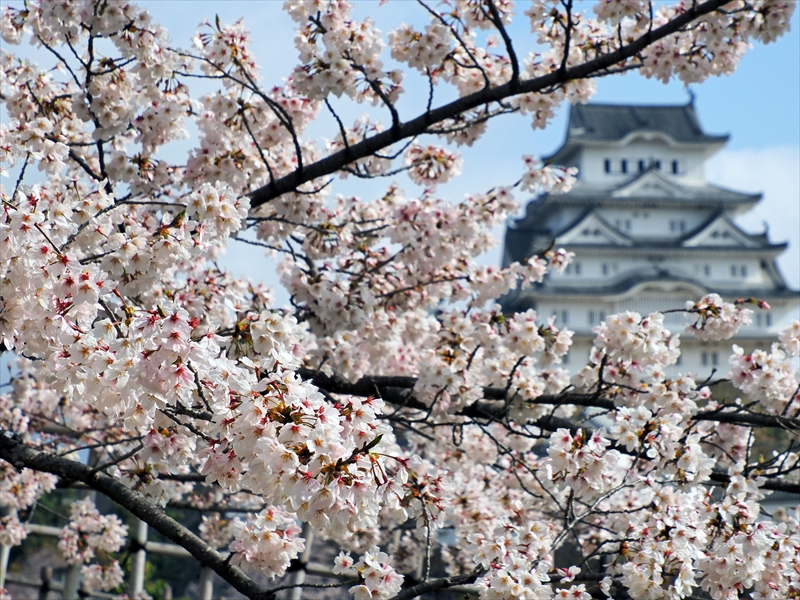 1011_姫路城_兵庫