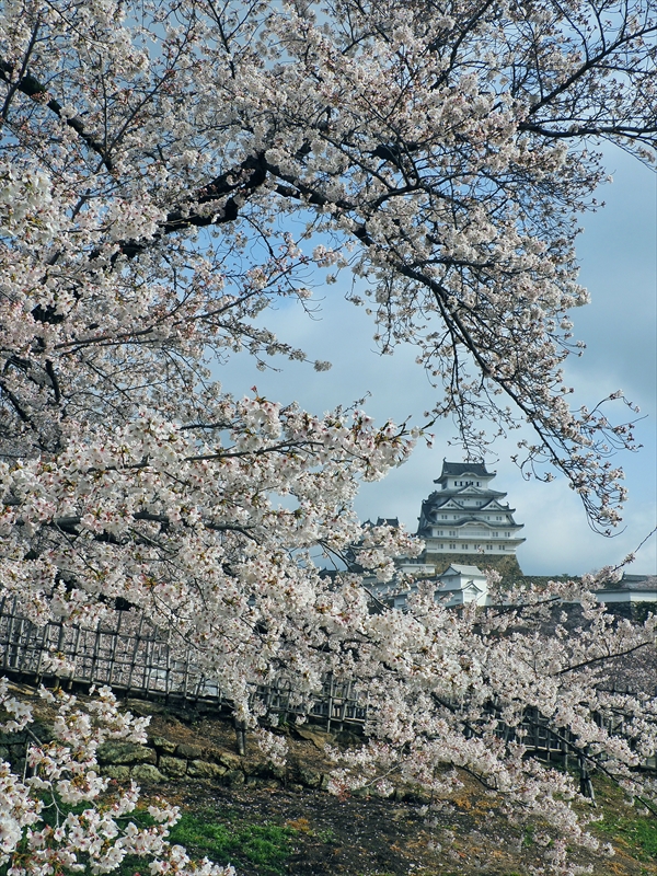 1015_姫路城_兵庫