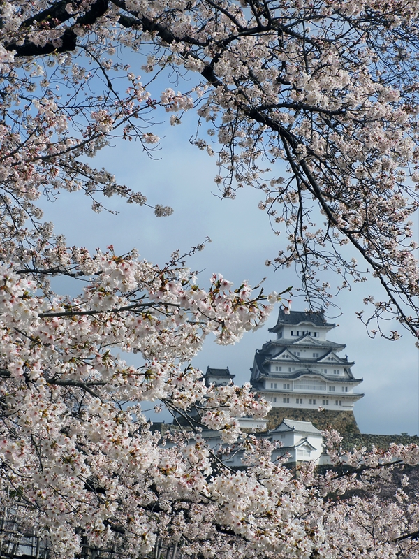 1016_姫路城_兵庫